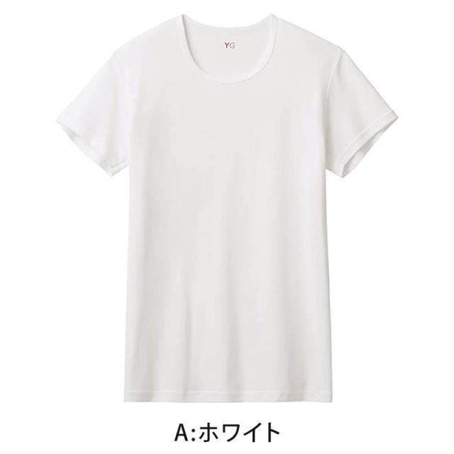 グンゼ インナー メンズ 半袖 綿100% tシャツ クルーネック 消臭 M〜LL (在庫限り)