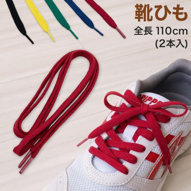 靴紐 靴ひも シューレース 2本入り 約110cm