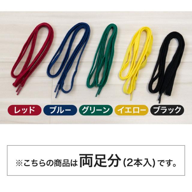 靴紐 靴ひも シューレース 2本入り 約110cm