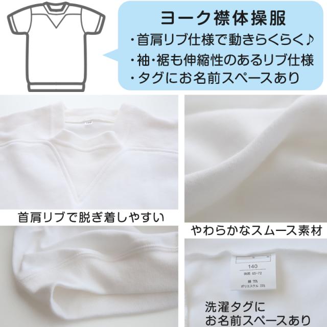 体操服 半袖 ヨーク 体操着 小学生 小学校 男子 女子 110〜160cm (在庫限り)