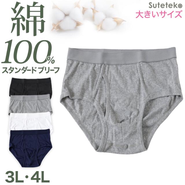 ブリーフ メンズ パンツ 綿100% スタンダード 前開き 3L・4L