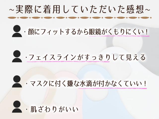 マスク 立体 冬 大人用 3枚セット フリーサイズ (在庫限り)