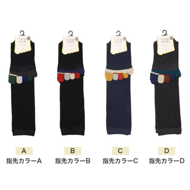 5本指 ハイソックス レディース 22cm 23cm 23.5cm 24cm 24.5cm 25cm