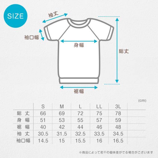 体操服 上下セット 半袖 クォーターパンツ 体操着 大きいサイズ 2点セット S〜3L (送料無料)