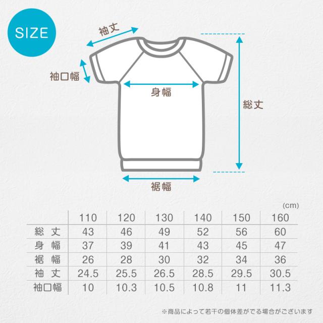 体操服 上下セット 半袖 ハーフパンツ 体操着 小学生 小学校 2点セット 110〜160cm (送料無料)