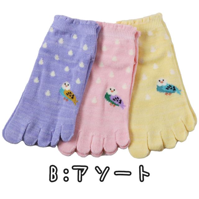 レディース 5本指ソックス スニーカー丈 靴下 3足組 つばき保湿 23-25cm (在庫限り)