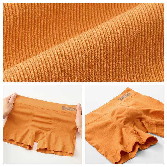 ボディワイルド 前閉じ ローライズ ボクサーブリーフ メンズ グンゼ M L