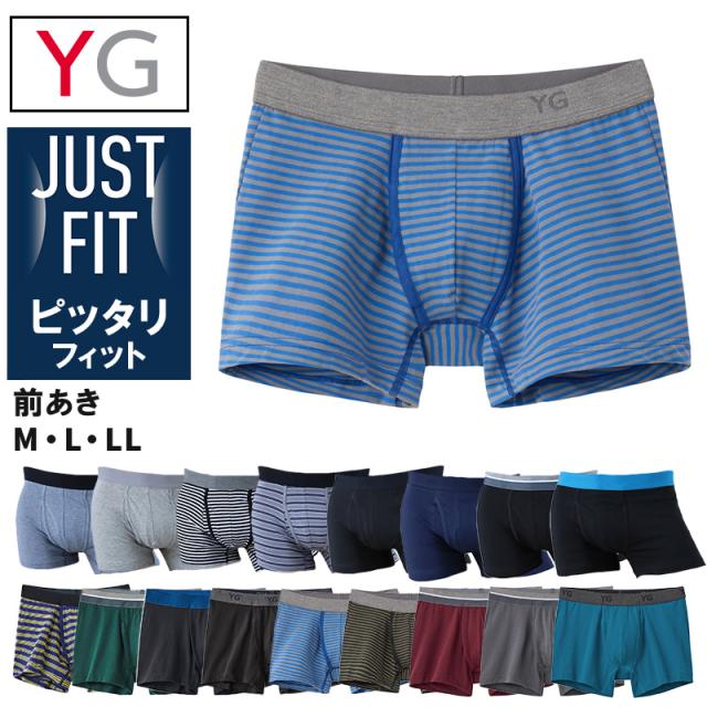 グンゼ ボクサーパンツ 綿 メンズ 前開き ボーダー 無地 杢 柄 M〜LL (在庫限り)