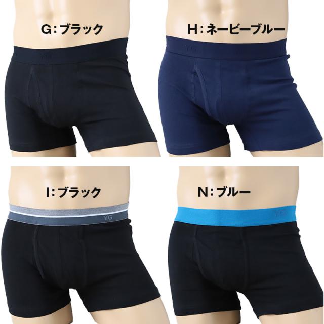グンゼ ボクサーパンツ 綿 メンズ 前開き ボーダー 無地 杢 柄 M〜LL (在庫限り)