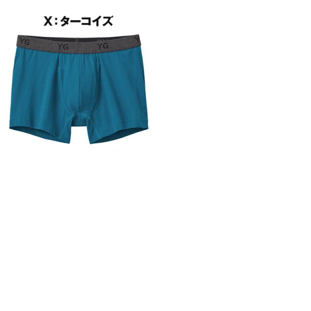 グンゼ ボクサーパンツ 綿 メンズ 前開き ボーダー 無地 杢 柄 M〜LL (在庫限り)