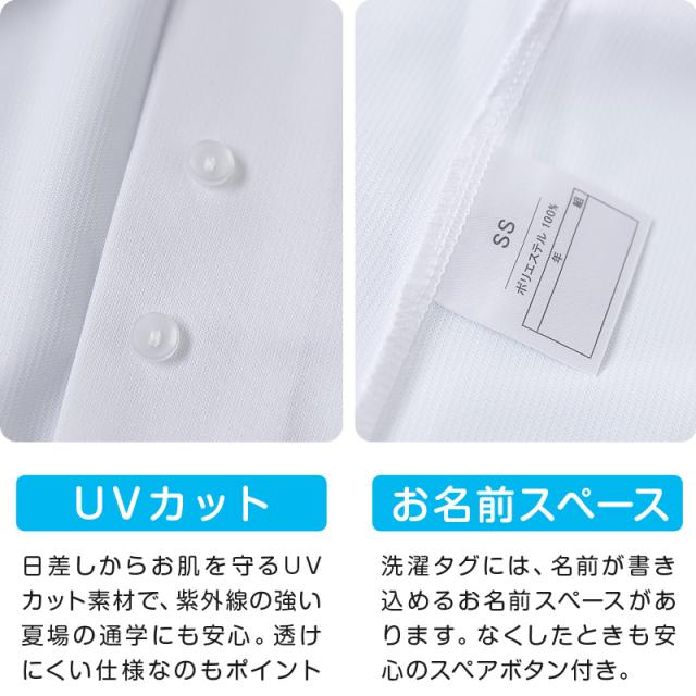 ストレッチ スクールシャツ 女子 半袖 ノーアイロン 中学生 高校生 制服 ワイシャツ SS(A体)〜3L(B体)