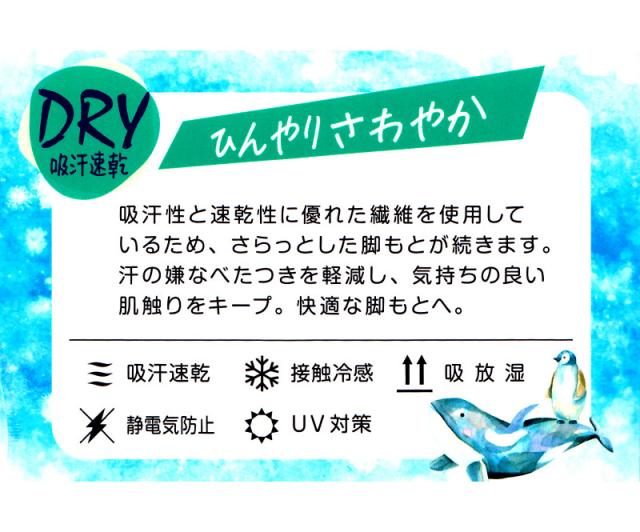 レギンス レディース 10分丈 アツギ 冷やしレギンスはじめました｡ DRY 吸汗速乾 M-L・L-LL