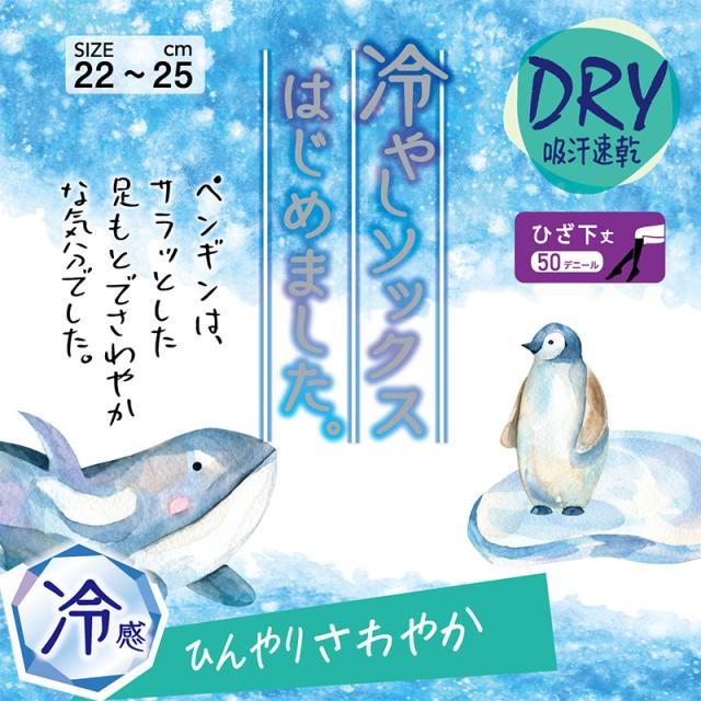 ソックス ひざ下丈 ショートソックス ショートストッキング レディース 靴下 アツギ 冷やしソックスはじめました DRY 冷感 22-25cm