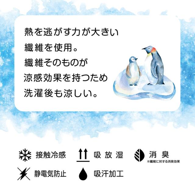 ソックス ひざ下丈 ショートソックス レディース 靴下 サマーソックス アツギ 冷やしソックスはじめました 持続冷感 22-25cm