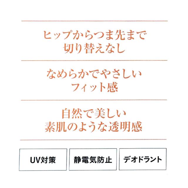 グンゼ サブリナ スルータイプ ストッキング 切替なし M-L・L-LL