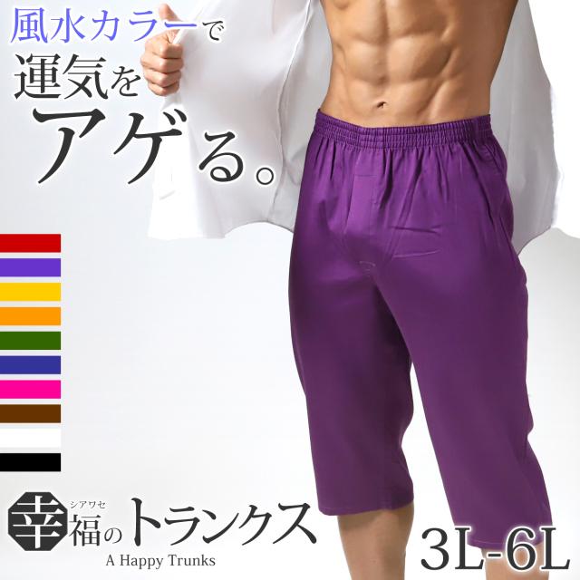 トランクス メンズ 綿100％ 下着 インナー 前開き スリット 風水カラー 無地 赤 白 黒 ブルー ピンク 快適 通気性の良い ギフト 3L-6L
