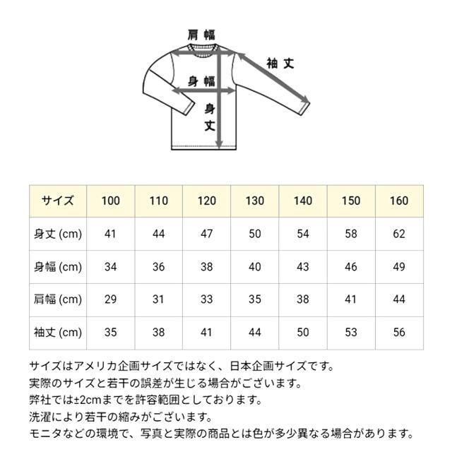チャンピオン キッズ パーカー スウェット 子供 裏毛 綿 プルオーバー トップス 100cm〜160cm (在庫限り)