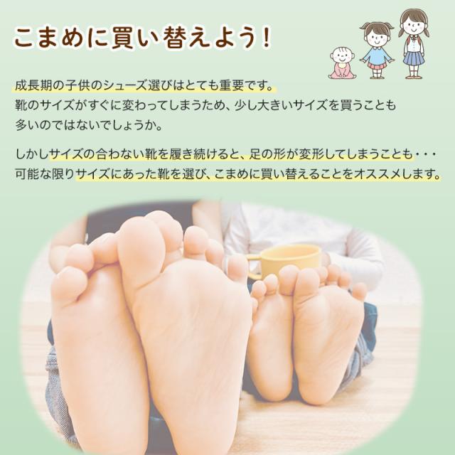 上履き 内履き 上靴 子供靴 ムーンスター マジックテープ 14cm〜21cm MSリトルスター02 (取寄せ)