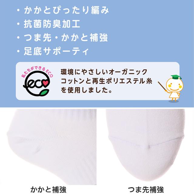 ソックス ハイカット ジュニア ショート丈 ロークルー 靴下 12cm丈 3足組 22-24cm・24-26cm (在庫限り)