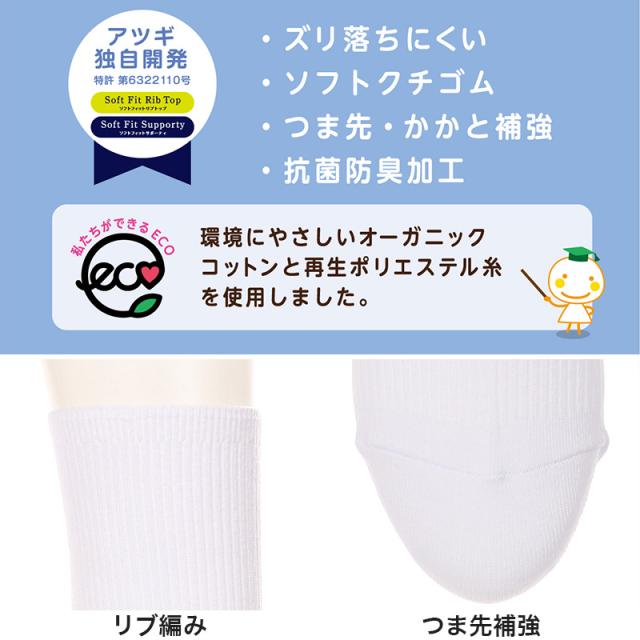ソックス ショート ショートソックス 靴下 ジュニア 15cm丈 3足組 22-24cm・24-26cm (在庫限り)