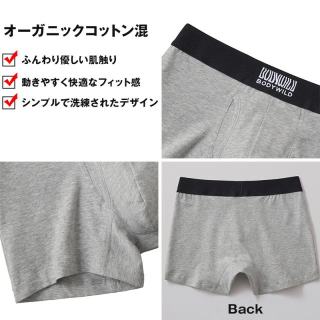 グンゼ ボディワイルド ボクサーパンツ 前開き メンズ 綿 M〜LL