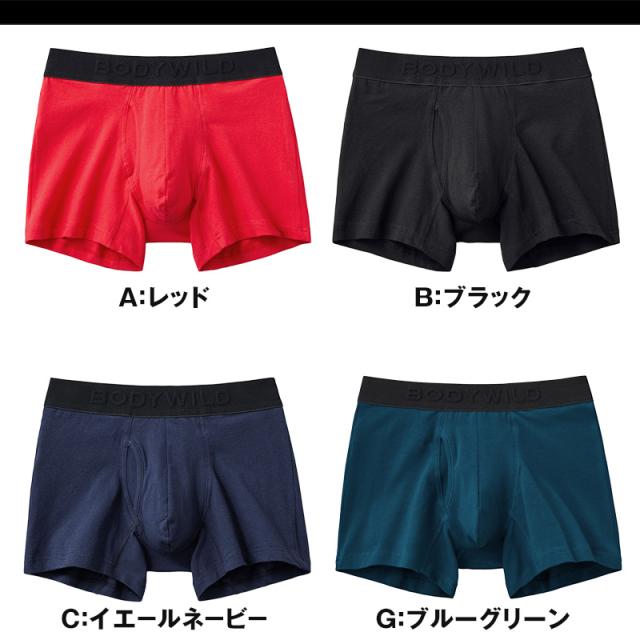 グンゼ ボディワイルド ボクサーパンツ 前開き メンズ 綿 M〜LL
