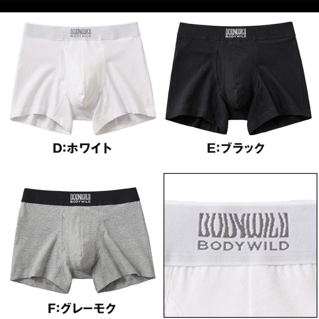 グンゼ ボディワイルド ボクサーパンツ 前開き メンズ 綿 M〜LL