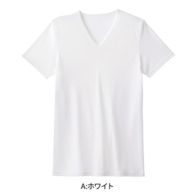 アセドロン Vネック Tシャツ グンゼ 鹿の子 メンズ M L LL 3L