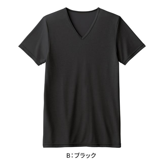 アセドロン Vネック Tシャツ グンゼ 鹿の子 メンズ M L LL 3L