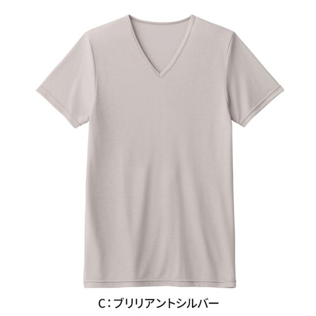 アセドロン Vネック Tシャツ グンゼ 鹿の子 メンズ M L LL 3L