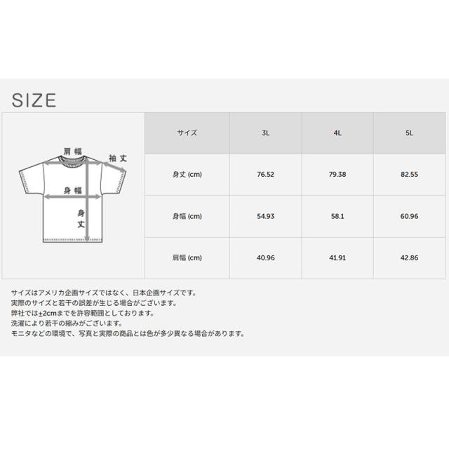 メンズ スリーブレスTシャツ 2枚組 メッシュ インナー ノースリーブ 吸汗速乾 抗菌防臭 タンクトップ 肌着 3L〜5L
