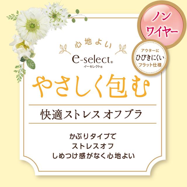 ノンワイヤーブラ ブラジャー ハーフトップ シームレス ブラ ひびきにくい ひびかない レディース アツギ M〜4L