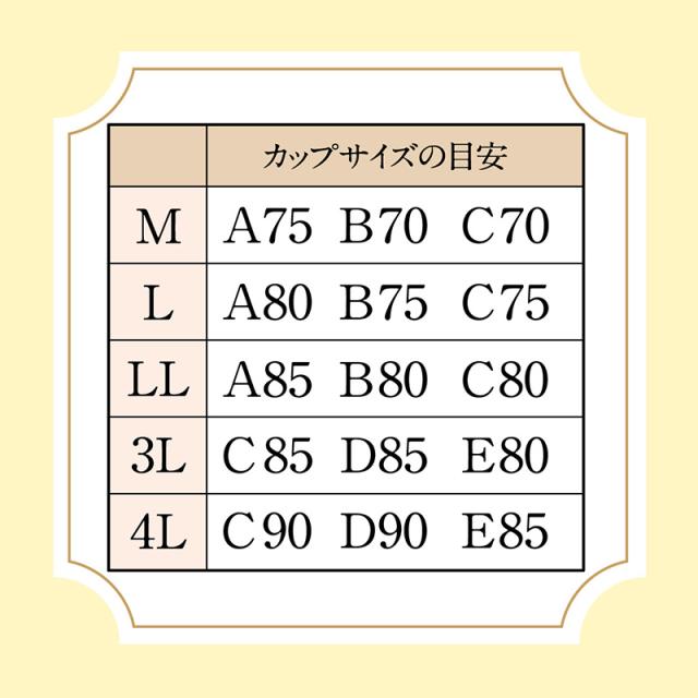 ノンワイヤーブラ ブラジャー ハーフトップ シームレス ブラ ひびきにくい ひびかない レディース アツギ M〜4L