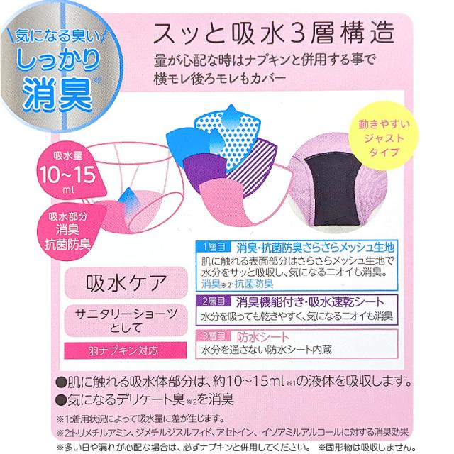 吸水 サニタリーショーツ 昼用 軽い日用 ナプキン対応 スタンダード M〜LL (在庫限り)