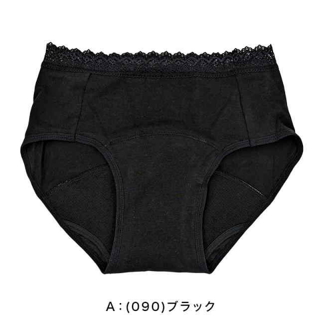吸水 サニタリーショーツ 昼用 軽い日用 ナプキン対応 スタンダード M〜LL (在庫限り)