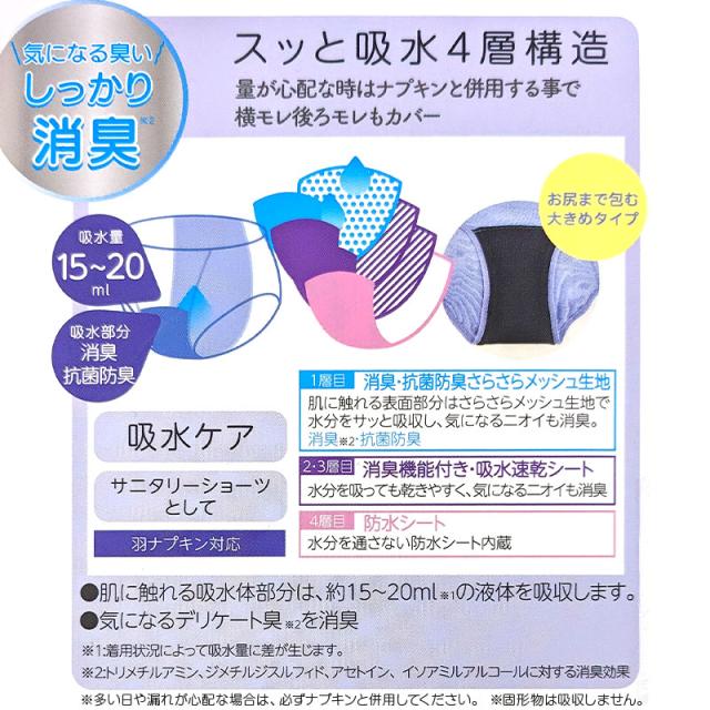 吸水サニタリーショーツ 夜用 多い日用 ナプキン対応 おおきめ M〜LL (在庫限り)