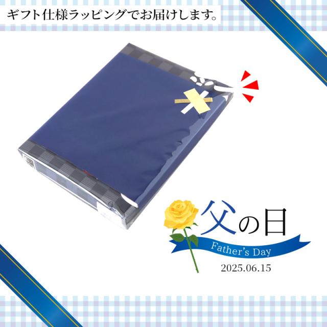 パジャマ メンズ 半袖 夏用 綿100% しじら織り 前開き 部屋着 ギフト 男性 実用的 M L LL 3L 4L (在庫限り)