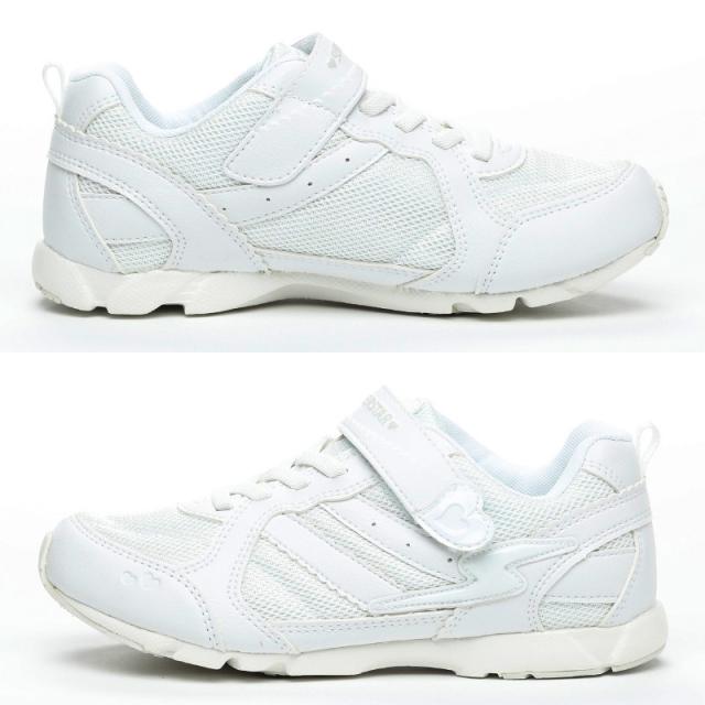 外履き スクールシューズ グランドシューズ 通学履き 運動靴 子供靴 通学 スニーカー 15cm〜24.5cm (送料無料) (取寄せ)