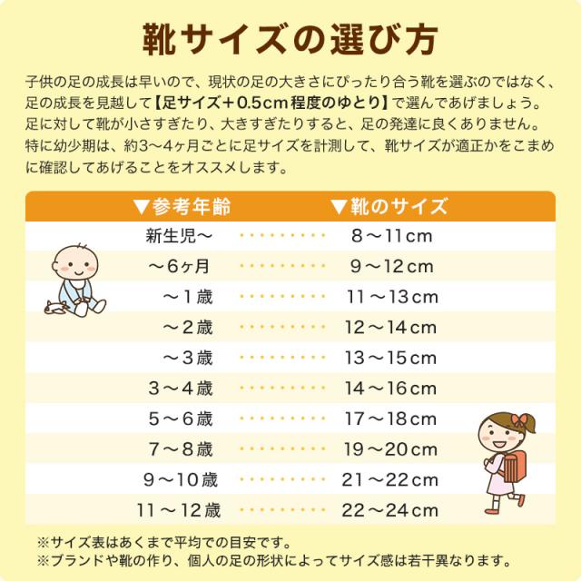 スニーカー 外履き スクールシューズ 白 黒 グランドシューズ 靴 通学履き 運動靴 子供靴 通学 15cm〜24.5cm (送料無料) (取寄せ)