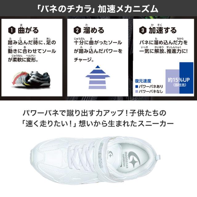 スニーカー 外履き スクールシューズ グランドシューズ 靴 通学履き 運動靴 子供靴 通学 19cm〜24.5cm (送料無料) (取寄せ)