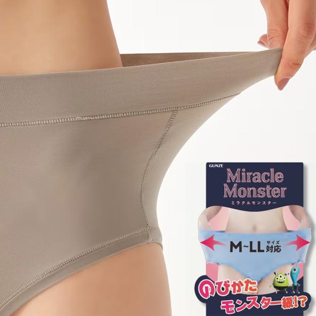 グンゼ レディース ショーツ レギュラー ローレッグ パンツ 3L-4L (在庫限り)