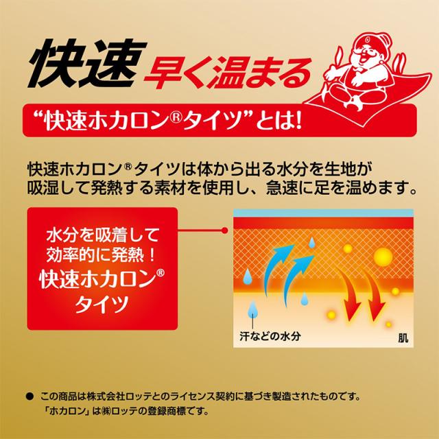 発熱タイツ レディース タイツ ホカロン つま先二重編み あたたかい あったかい 防寒 250デニール M-L L-LL (在庫限り)