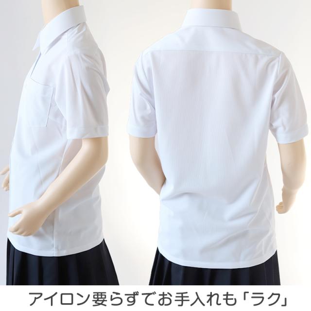 中学生 高校生 ニット 半袖 台襟 ブラウス スクールブラウス 140A〜180B (送料無料)