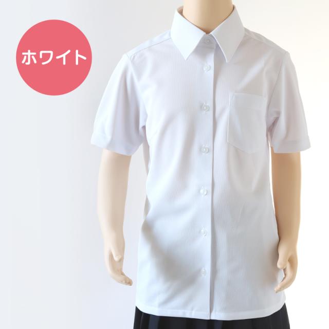 中学生 高校生 ニット 半袖 台襟 ブラウス スクールブラウス 140A〜180B (送料無料)