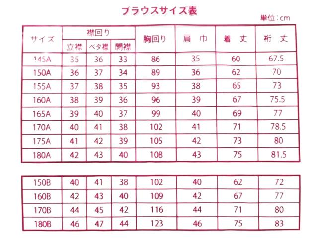 中学生 高校生 ニット長袖 丸襟ブラウス スクールブラウス 145A〜180B (送料無料)