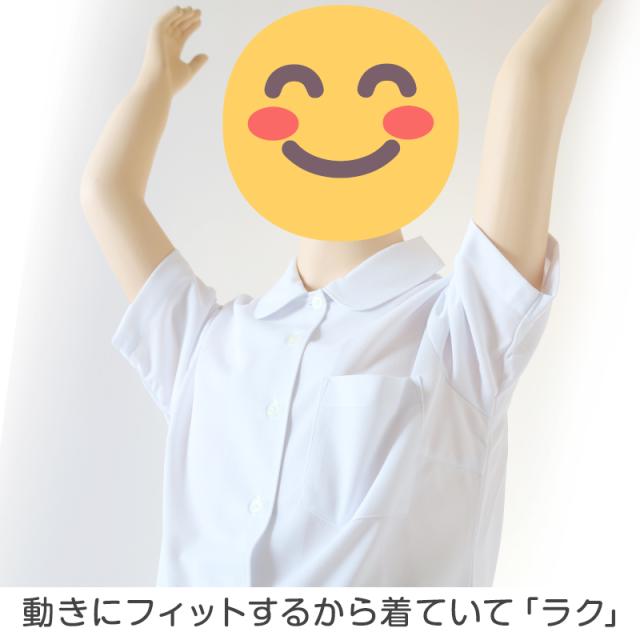 中学生 高校生 ニット 半袖 丸襟 ブラウス スクールブラウス 145A〜180B (送料無料)