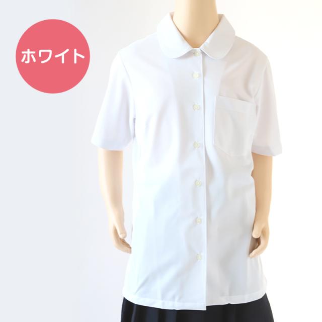 中学生 高校生 ニット 半袖 丸襟 ブラウス スクールブラウス 145A〜180B (送料無料)