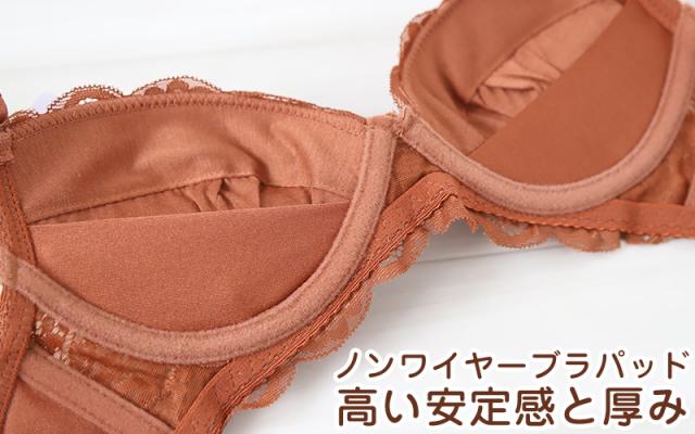 ブラジャー ショーツ セット ノンワイヤー 大きいサイズ 下着 レディース ブラショーツ 上下セット セットアップ 3L 4L 5L