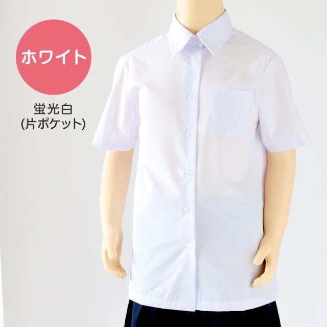 スクールシャツ 女子 半袖 中学生 高校生 白 台襟 ブラウス スクールブラウス 140A〜180B