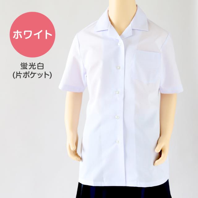 スクールシャツ 女子 半袖 中学生 高校生 白 開襟 ブラウス スクールブラウス 145A〜180B